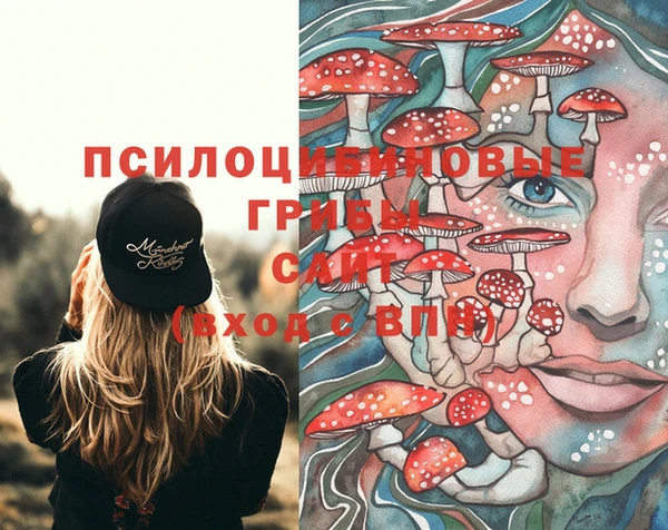 соль ск Алзамай